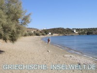 Livadi Beach schinoussa